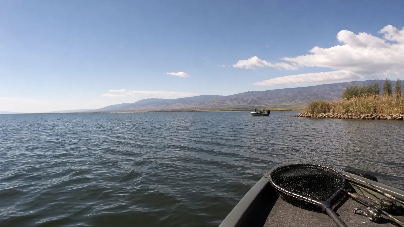 Fishing boat beside reeds on broad reservoir water
