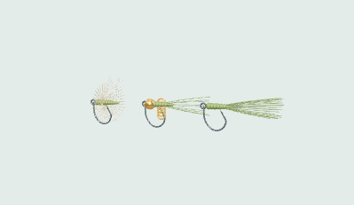 Illustrative dry fly, nymph & streamer model